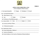  Online visa application form